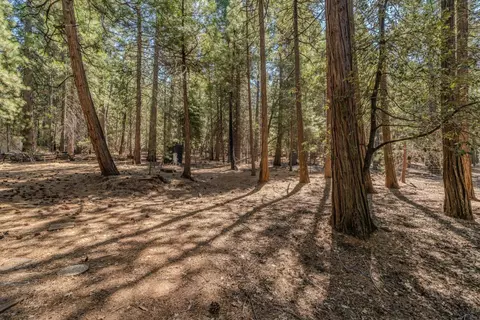 25062 Overland Dr, Volcano, CA 95689 photo 35