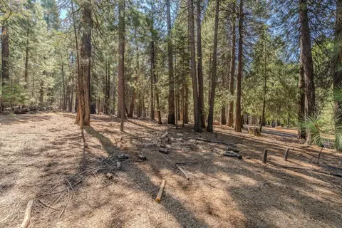 25062 Overland Dr, Volcano, CA 95689 photo 32