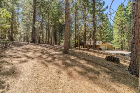 25062 Overland Dr, Volcano, CA 95689 photo 30