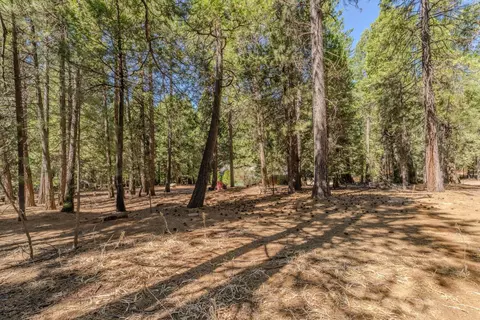 25062 Overland Dr, Volcano, CA 95689 photo 37