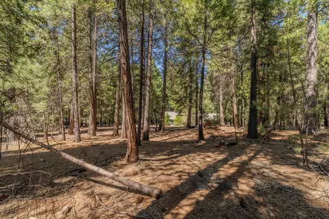 25062 Overland Dr, Volcano, CA 95689 photo 36