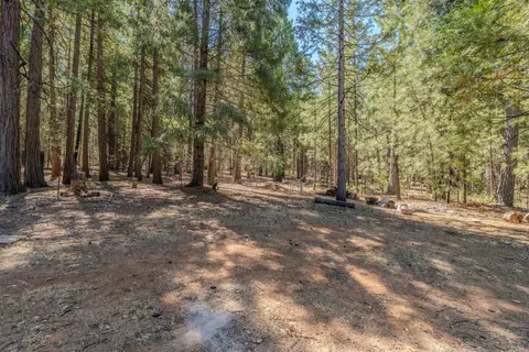 25062 Overland Dr, Volcano, CA 95689 photo 3
