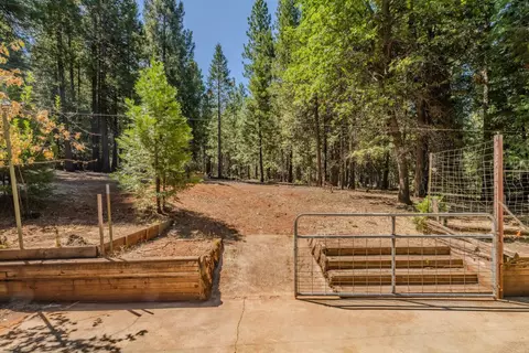 25062 Overland Dr, Volcano, CA 95689 photo 25