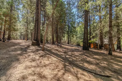 25062 Overland Dr, Volcano, CA 95689 photo 31