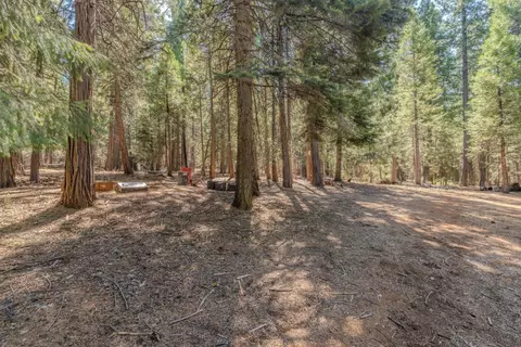 25062 Overland Dr, Volcano, CA 95689 photo 34