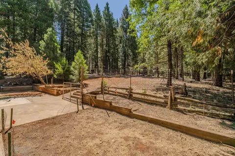 25062 Overland Dr, Volcano, CA 95689 photo 2