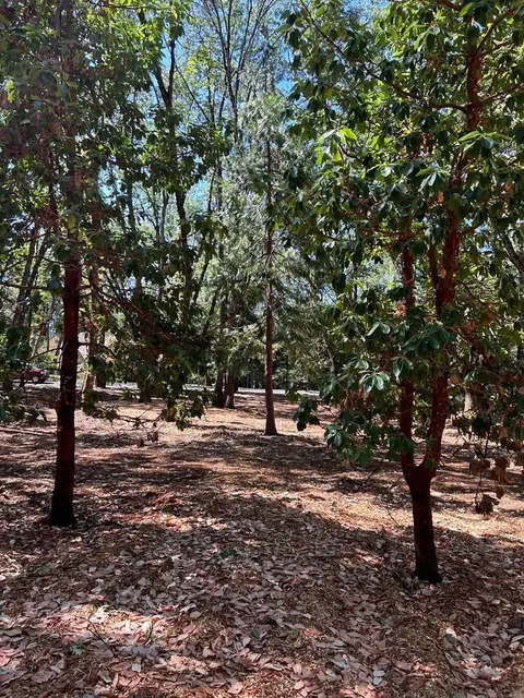 13028 Somerset Dr, Grass Valley, CA 95945