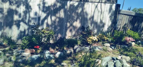 7203 Amador Ct, Corning, CA 96021 photo 2
