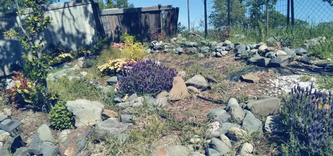 7203 Amador Ct, Corning, CA 96021