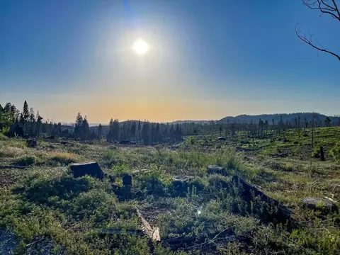 2157 Backwoods Trl, Grizzly Flats, CA 95636