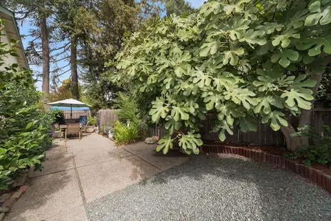 8343 Foxfire Dr, Orangevale, CA 95662 photo 25