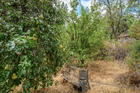 4800 Quarry Ct, Placerville, CA 95667 photo 51