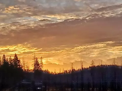 6855 E Tyler Dr, Grizzly Flats, CA 95636