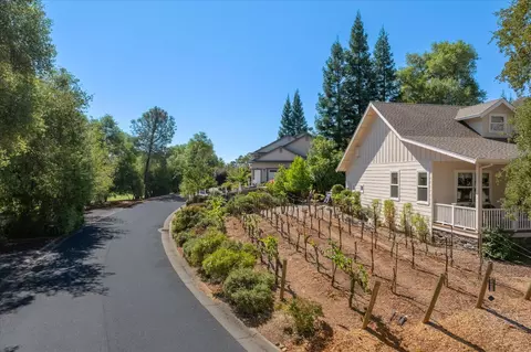 301 Mill Rd, Angels Camp, CA 95222 photo 43