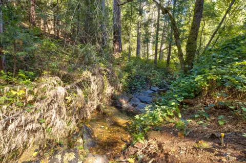 Other - 26672 Old Loggers Ln, Colfax, CA 95713 photo 9 of 10