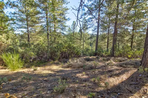 Exterior - 26672 Old Loggers Ln, Colfax, CA 95713 photo 14 of 18