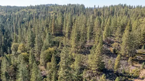 View/Area - 26672 Old Loggers Ln, Colfax, CA 95713 photo 11 of 13