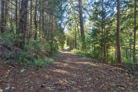 Other - 26672 Old Loggers Ln, Colfax, CA 95713 photo 7 of 10