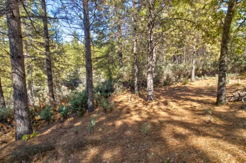 Exterior - 26672 Old Loggers Ln, Colfax, CA 95713 photo 16 of 18