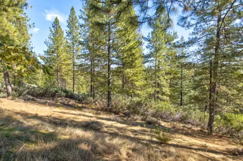 Exterior - 26672 Old Loggers Ln, Colfax, CA 95713 photo 13 of 18