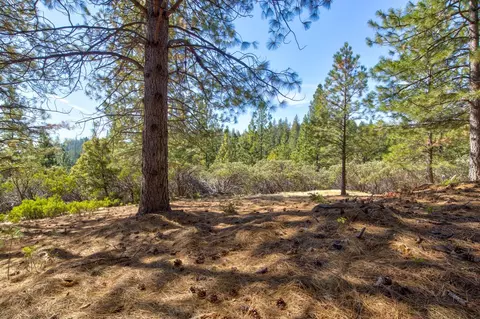 Exterior - 26672 Old Loggers Ln, Colfax, CA 95713 photo 11 of 18