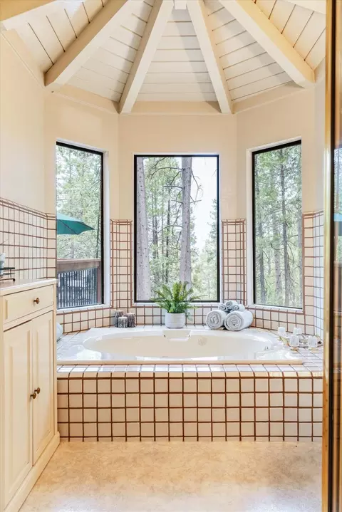 723 Larkspur Ln, Murphys, CA 95247 photo 27