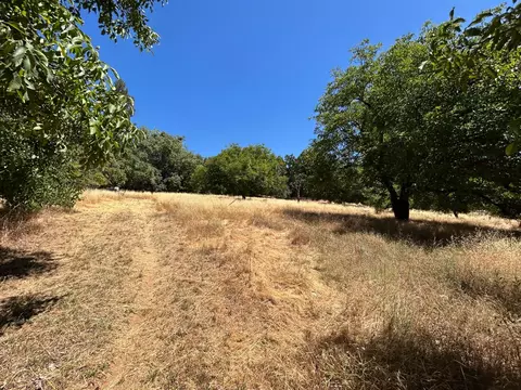 72 Pine, West Point, CA 95255 photo 5