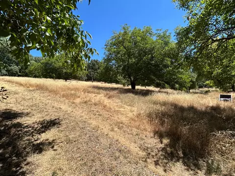 72 Pine, West Point, CA 95255 photo 4