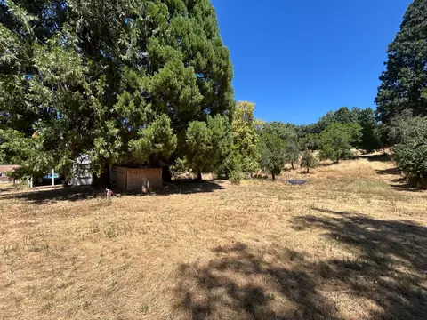 72 Pine, West Point, CA 95255 photo 21