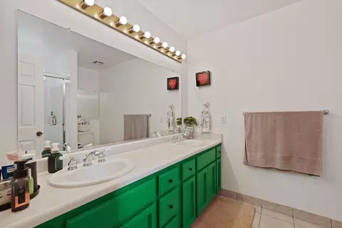 337 Gardner Pl, Lathrop, CA 95330 photo 23