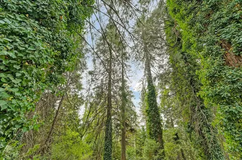 2990 Spruce Ct, Pollock Pines, CA 95726 photo 18