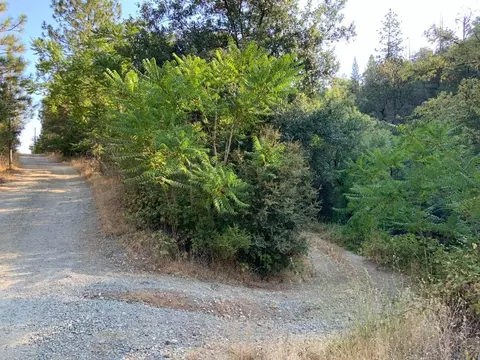 17340 Scopar Rd, Grass Valley, CA 95949 photo 9
