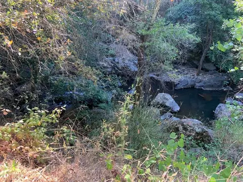 17340 Scopar Rd, Grass Valley, CA 95949 photo 5