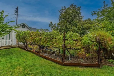 Exterior - 135 Amelia St, Sutter Creek, CA 95685 photo 7 of 12