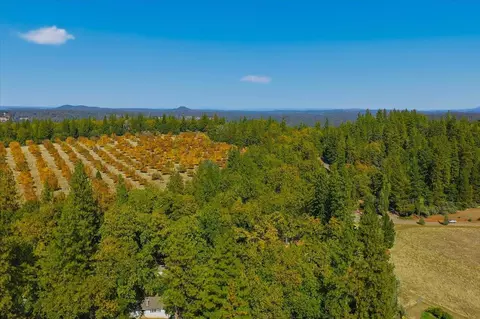 19877 Shake Ridge Rd, Volcano, CA 95689 photo 66