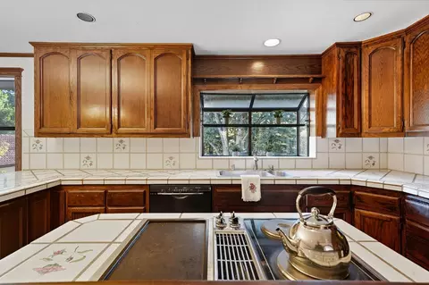14501 Lupe Rd, Pine Grove, CA 95665 photo 22