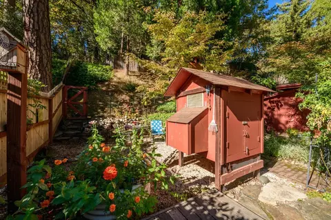 Exterior - 3166 Cedar Ravine Rd, Placerville, CA 95667 photo 6 of 12