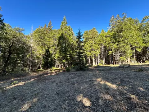 895 Hideaway Loop, Alta, CA 95701 photo 26