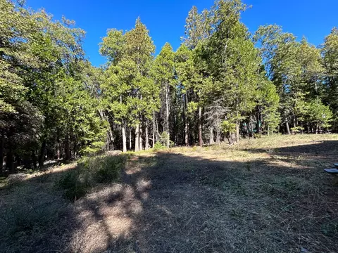 895 Hideaway Loop, Alta, CA 95701 photo 32
