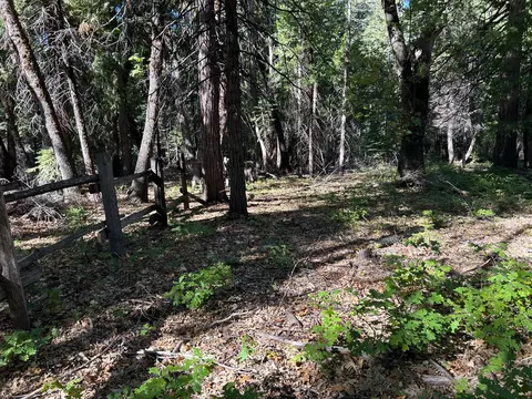 895 Hideaway Loop, Alta, CA 95701 photo 30