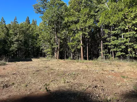 895 Hideaway Loop, Alta, CA 95701 photo 22