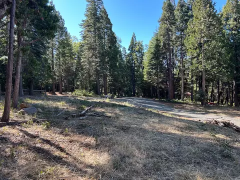 895 Hideaway Loop, Alta, CA 95701 photo 21