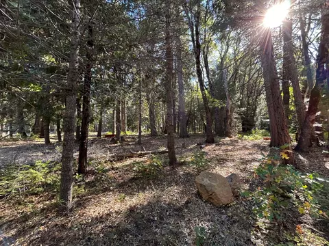 895 Hideaway Loop, Alta, CA 95701 photo 28