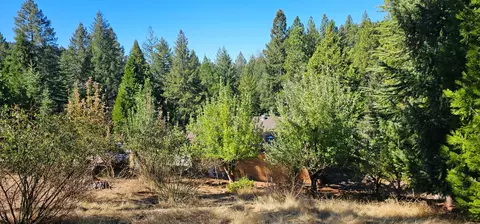 6740 Spring Valley Rd, Pollock Pines, CA 95726 photo 3