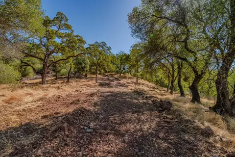 5122 Old Gulch Rd, San Andreas, CA 95249 photo 24