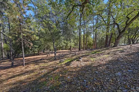 Exterior - 2143 Angel Camp Ct, Cool, CA 95614 photo 18 of 18