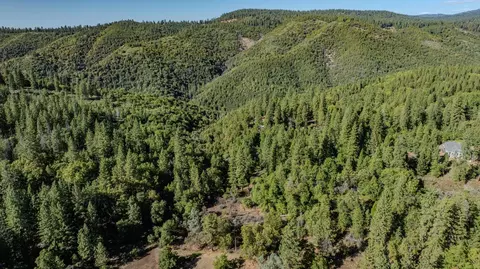 View/Area - 4581 Highway 4, Murphys, CA 95247 photo 1 of 2