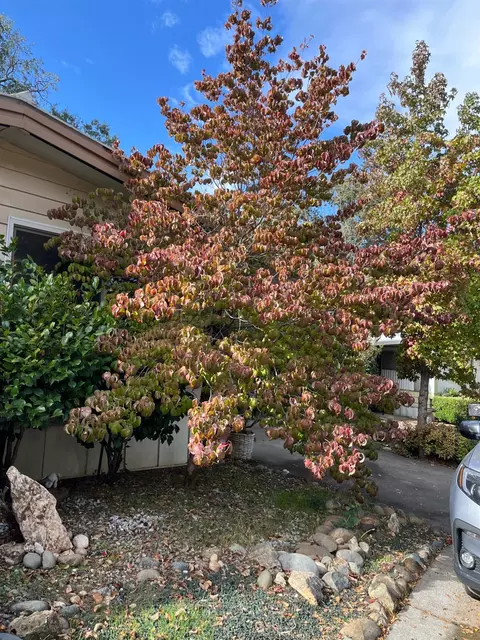 2337 Lazy Dog Ln, Diamond Springs, CA 95619 Movoto