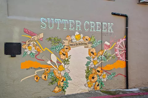 View/Area - 14874 Surrey Junction Ln, Sutter Creek, CA 95685 photo 1 of 1