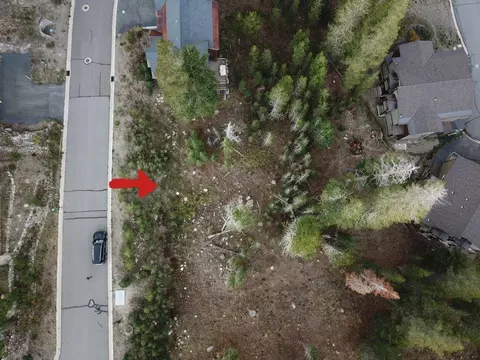 239 Palisades Dr, Kirkwood, CA 95646